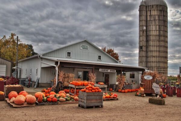 7 Illinois Apple Orchards Where You Fill A Bag And Bite Into Fresh Cider Doughnuts