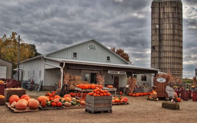 7 Illinois Apple Orchards Where You Fill A Bag And Bite Into Fresh Cider Doughnuts