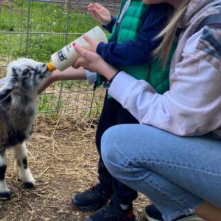 At This New Jersey Farm, You Cuddle Cows And Feed Baby Goats