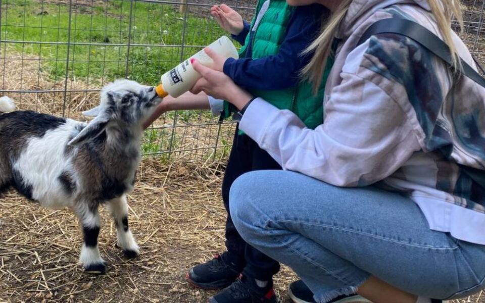 At This New Jersey Farm, You Cuddle Cows And Feed Baby Goats