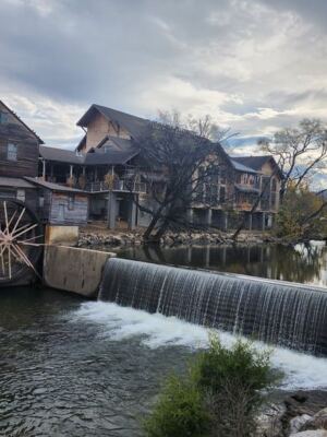 We Tasted Our Way Across Tennessee and These Small-Town Restaurants Came Out on Top