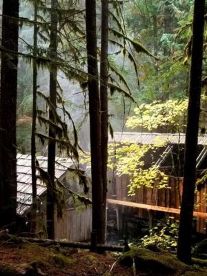 This Oregon Hot Spring Lets You Soak in 100-Degree Cedar Tubs While Snow Falls Around You