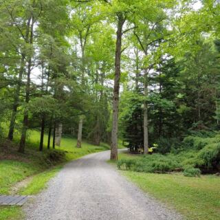 This Quiet Oak Ridge Arboretum In Tennessee Hides Miles Of Wooded Trails And 2,500 Labeled Trees Few Locals Explore