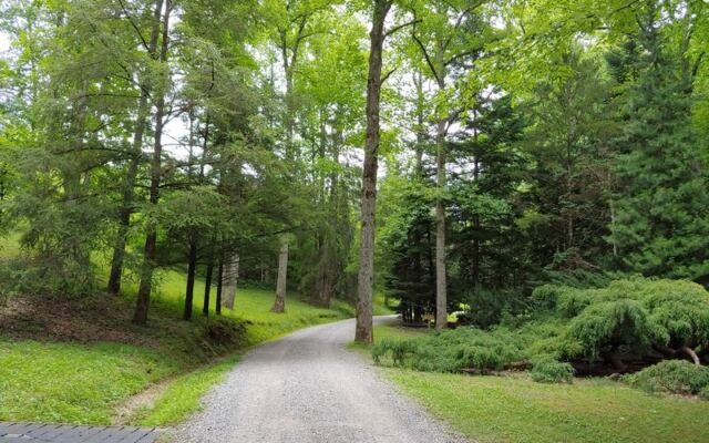 This Quiet Oak Ridge Arboretum In Tennessee Hides Miles Of Wooded Trails And 2,500 Labeled Trees Few Locals Explore