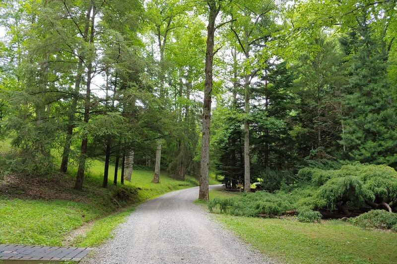 This Quiet Oak Ridge Arboretum In Tennessee Hides Miles Of Wooded Trails And 2,500 Labeled Trees Few Locals Explore