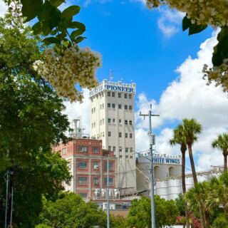 At Pioneer Flour Mill in San Antonio, the Country Store Serves Fresh Biscuits Beside a Historic Riverside Mill