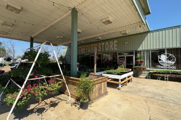 This Family-Run Mississippi Farm Store Sells Produce, Meat, And Dairy Farmed Right Down The Road