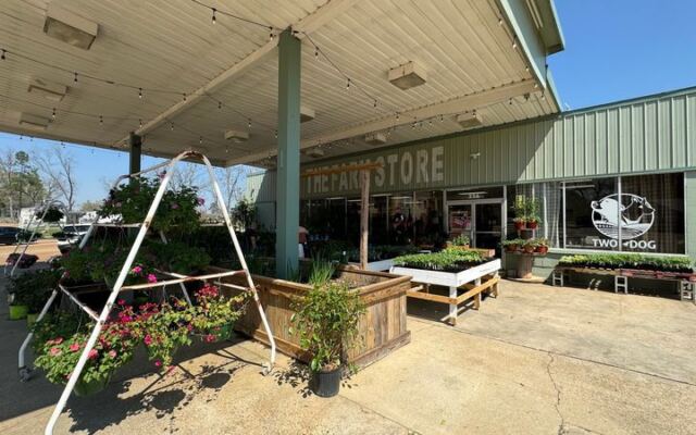 This Family-Run Mississippi Farm Store Sells Produce, Meat, And Dairy Farmed Right Down The Road