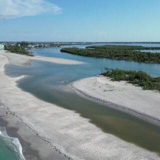 At This Hidden Florida Beach, Fossil Shark Teeth Wash Up Like Tiny Black Treasures