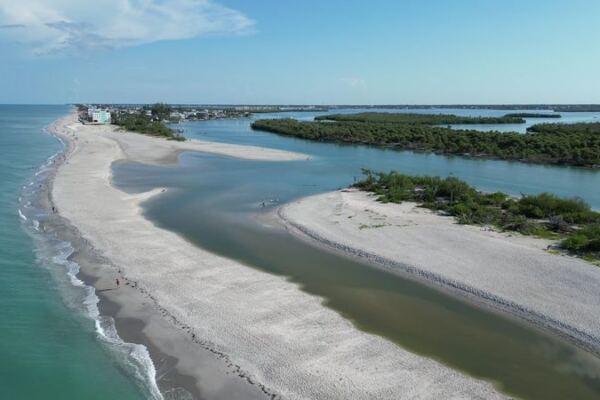At This Hidden Florida Beach, Fossil Shark Teeth Wash Up Like Tiny Black Treasures