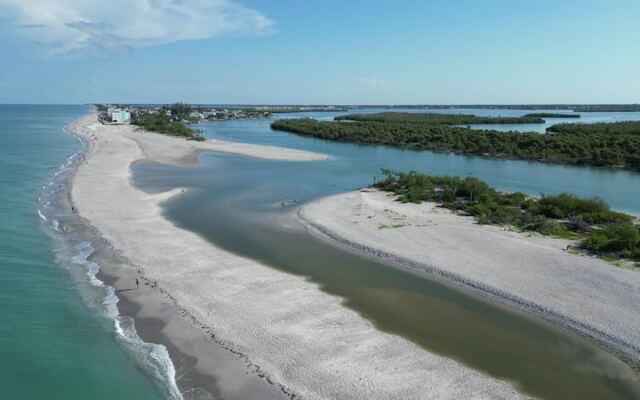 At This Hidden Florida Beach, Fossil Shark Teeth Wash Up Like Tiny Black Treasures