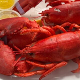 This Bustling Harborside Seafood Shack On Massachusetts’ North Shore Serves Fresh Lobster You’ll Keep Driving Back For