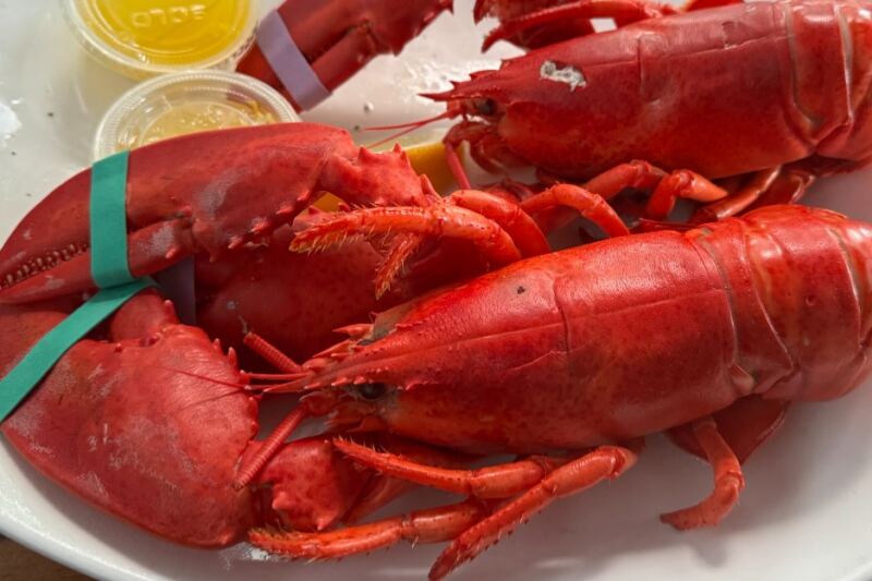 This Bustling Harborside Seafood Shack On Massachusetts’ North Shore Serves Fresh Lobster You’ll Keep Driving Back For