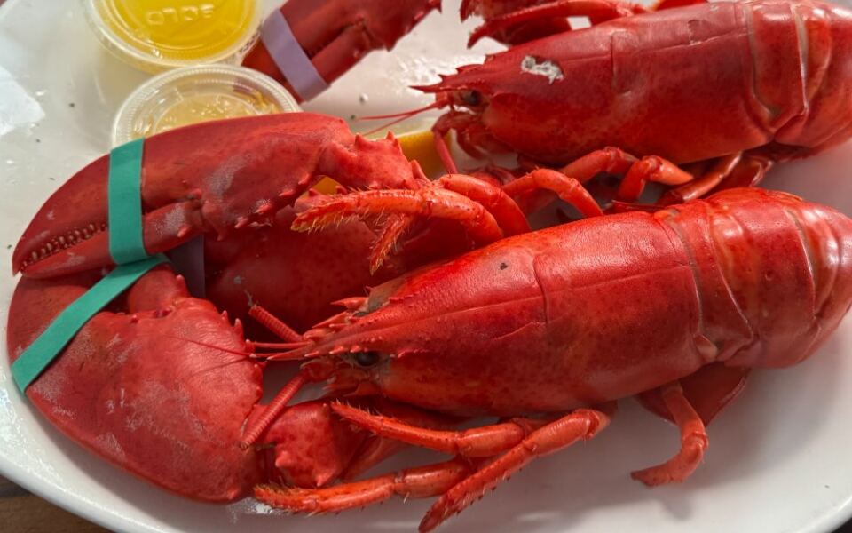 This Bustling Harborside Seafood Shack On Massachusetts’ North Shore Serves Fresh Lobster You’ll Keep Driving Back For