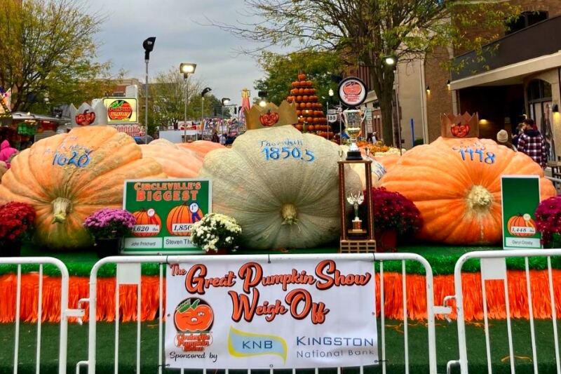 12 Towns That Turn Their Favorite Food Into a Festival