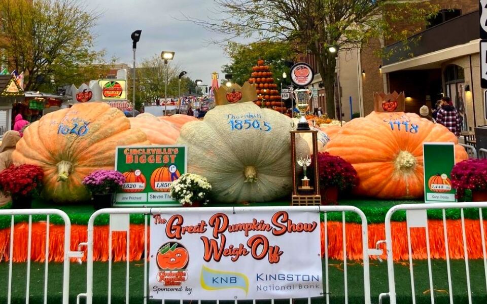 12 Towns That Turn Their Favorite Food Into a Festival