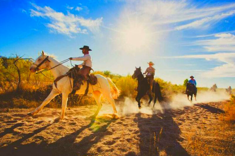 13 Places Where You Can Ride With Cowboys Across the Open Range