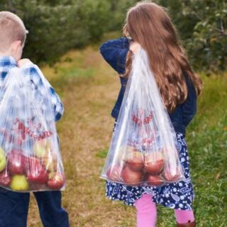 This New Jersey Orchard Serves Cider Donuts While You Pick Apples And Take Tractor Rides