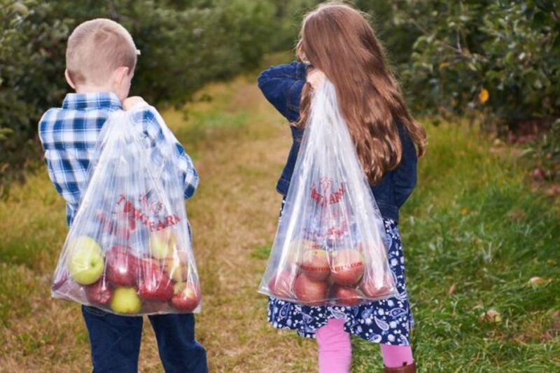 This New Jersey Orchard Serves Cider Donuts While You Pick Apples And Take Tractor Rides