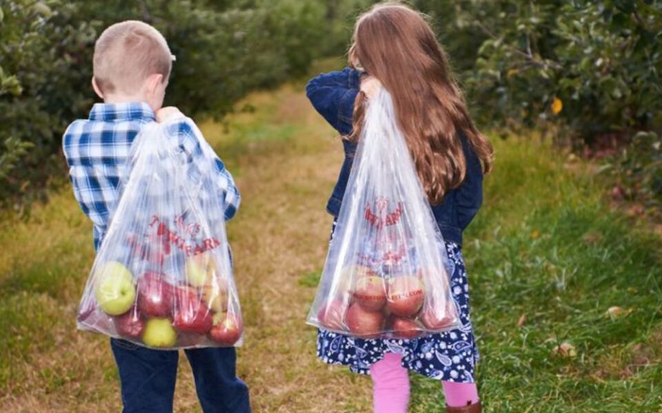 This New Jersey Orchard Serves Cider Donuts While You Pick Apples And Take Tractor Rides