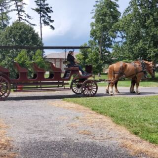 A Two-Hour Carriage Ride Might Be North Carolina’s Most Surprising Mountain Adventure