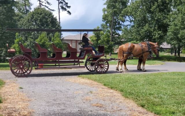 A Two-Hour Carriage Ride Might Be North Carolina’s Most Surprising Mountain Adventure