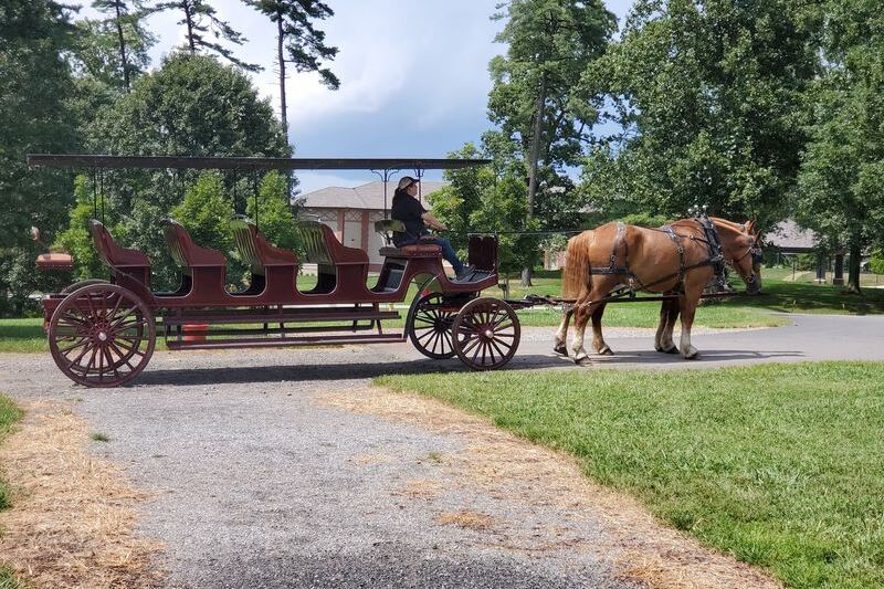 A Two-Hour Carriage Ride Might Be North Carolina’s Most Surprising Mountain Adventure