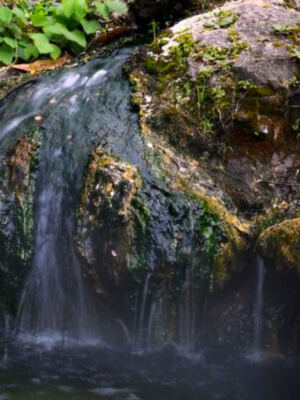 This Arkansas National Park Has Steaming Water Rising Straight From the Ground