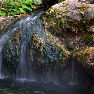 This Arkansas National Park Has Steaming Water Rising Straight From the Ground