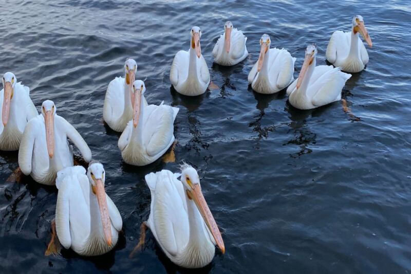 This Minnesota Lake Is A Gateway To One Of America’s Wildest National Parks