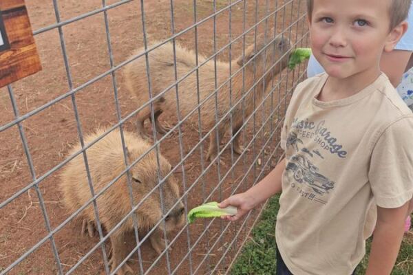 This North Carolina Animal Haven Lets You Get Nose-to-Nose With the World’s Largest Rodents