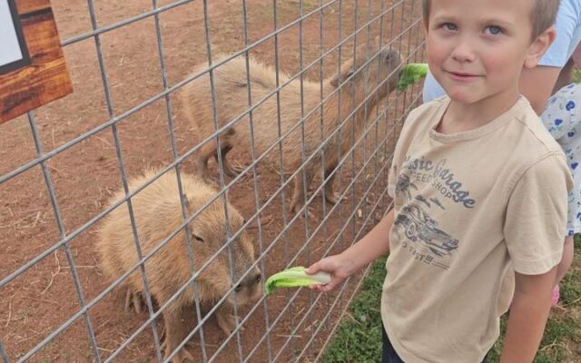 This North Carolina Animal Haven Lets You Get Nose-to-Nose With the World’s Largest Rodents
