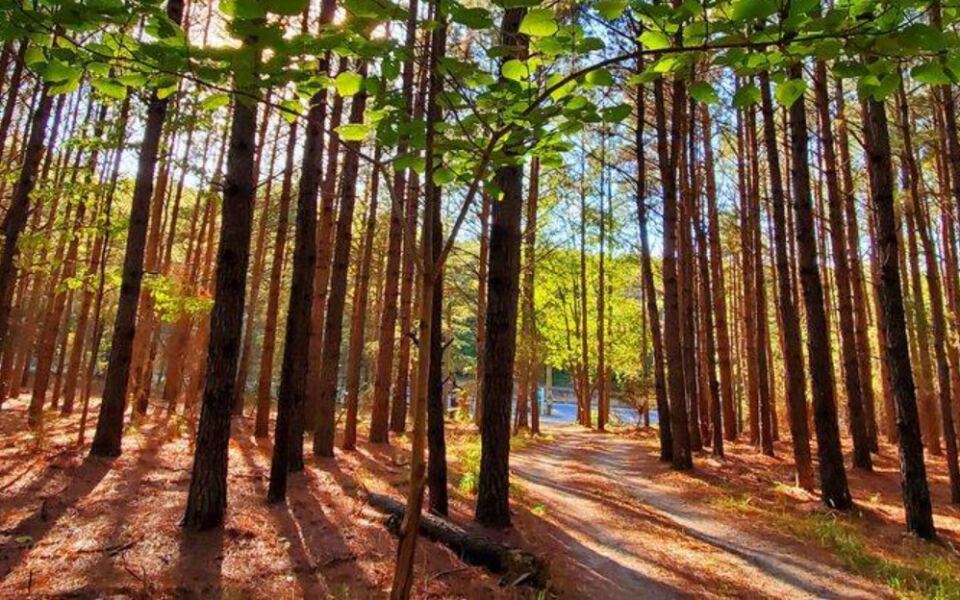 A Hidden New Jersey Trail Climbs Past High Bluffs And Trees Older Than America