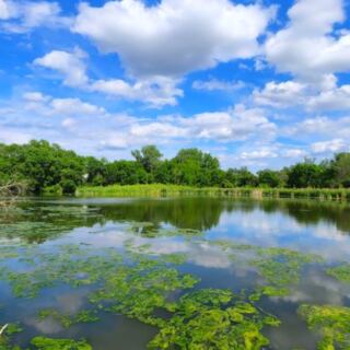 12 Nebraska Wildlife Refuges and Sanctuaries Nature Lovers Should Visit
