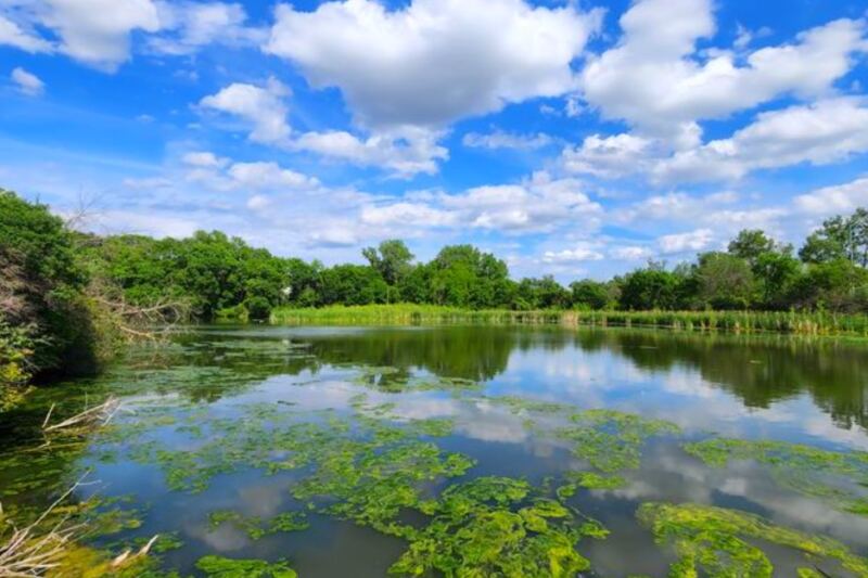 12 Nebraska Wildlife Refuges and Sanctuaries Nature Lovers Should Visit