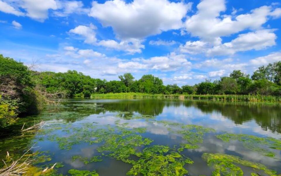 12 Nebraska Wildlife Refuges and Sanctuaries Nature Lovers Should Visit