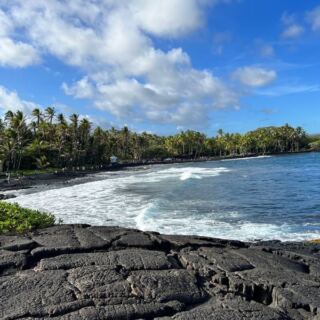 This Black-Sand Beach on Hawaii’s Big Island Is a Palm-Ringed Haven for Sea Turtles
