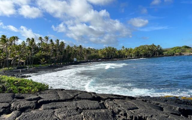 This Black-Sand Beach on Hawaii’s Big Island Is a Palm-Ringed Haven for Sea Turtles