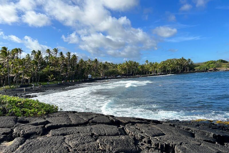 This Black-Sand Beach on Hawaii’s Big Island Is a Palm-Ringed Haven for Sea Turtles