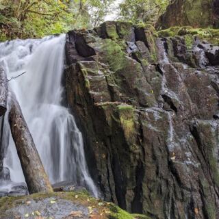 This Quiet Oregon Forest Trail Is Where You Finally Hear Nothing But Creek Water and Wind