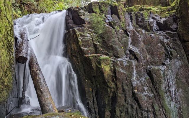 This Quiet Oregon Forest Trail Is Where You Finally Hear Nothing But Creek Water and Wind