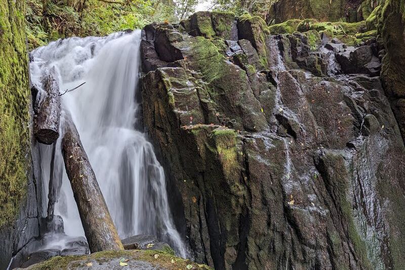 This Quiet Oregon Forest Trail Is Where You Finally Hear Nothing But Creek Water and Wind