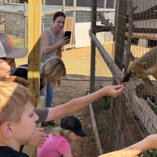 This Oklahoma Sanctuary Lets You Feed And Pet Rescued Foxes, Bobcats, And Wolves On A Guided Tour