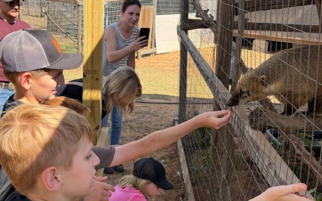 This Oklahoma Sanctuary Lets You Feed And Pet Rescued Foxes, Bobcats, And Wolves On A Guided Tour