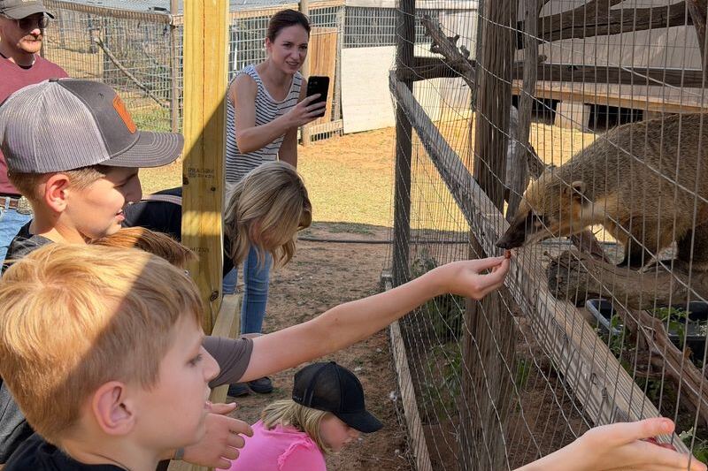 This Oklahoma Sanctuary Lets You Feed And Pet Rescued Foxes, Bobcats, And Wolves On A Guided Tour