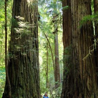 15 Spectacular UNESCO World Heritage Sites in the U.S. Worth the Journey