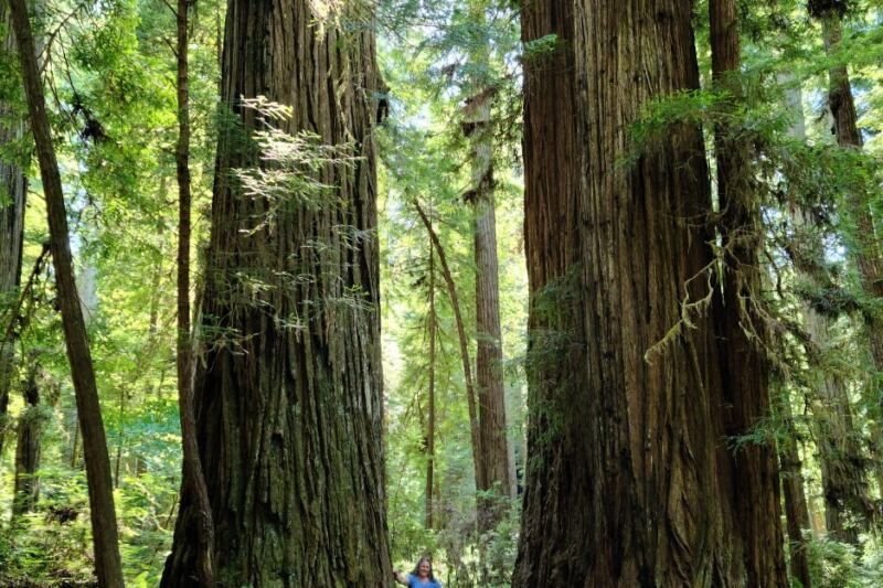15 Spectacular UNESCO World Heritage Sites in the U.S. Worth the Journey
