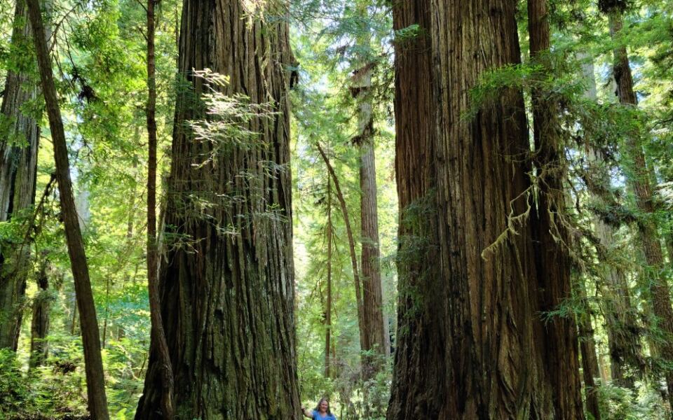 15 Spectacular UNESCO World Heritage Sites in the U.S. Worth the Journey