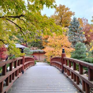 12 Illinois Fall Day Trips That Pack More Surprises Than Most Travelers Expect