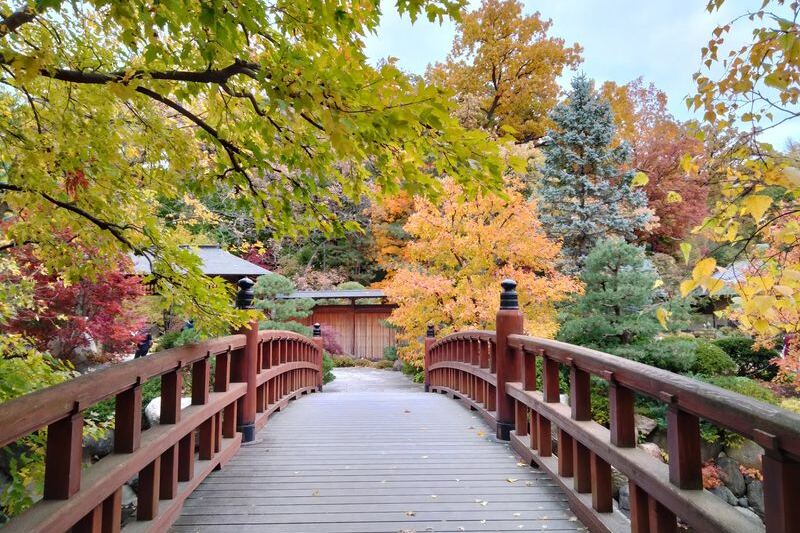12 Illinois Fall Day Trips That Pack More Surprises Than Most Travelers Expect